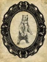 Framed Grizzly Bear #89758