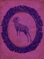 Framed Bighorn Sheep in Violet #89811