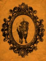 Framed Bison in Tangerine #89813