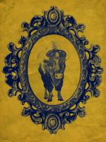 Framed Bison in Yellow #89815