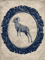 Framed Bighorn Sheep in Navy #89831