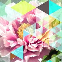 Crystalized Peonies #98861