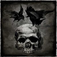 Skull with Crows #WG112367