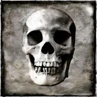 Skull I #WG112372