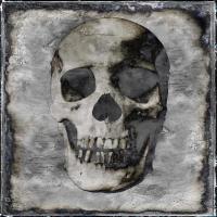 Skull III #WG112374