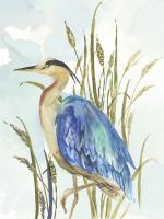 Little Blue Heron #WL377-A