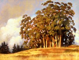 Eucalyptus Grove #77749