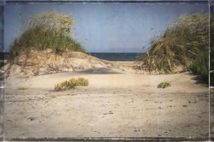 Pea Island Sand Dunes #92252