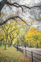 Central Park Autumn 1 #92331