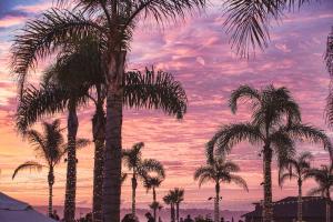 Coronado Beach Sunset #92399