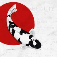 Splashing Beauty Shiro Utsuri #IG 3753