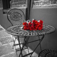 Romantic Roses II #IG 5624