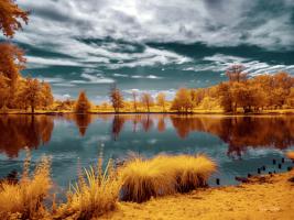 MajolanÕs Park Reflections II, Bordeaux - Infrared and UV Photography #IG 8160