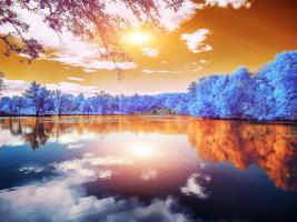 Double Reflections, MajolanÕs Park, Bordeaux - Infrared Photography #IG 8162